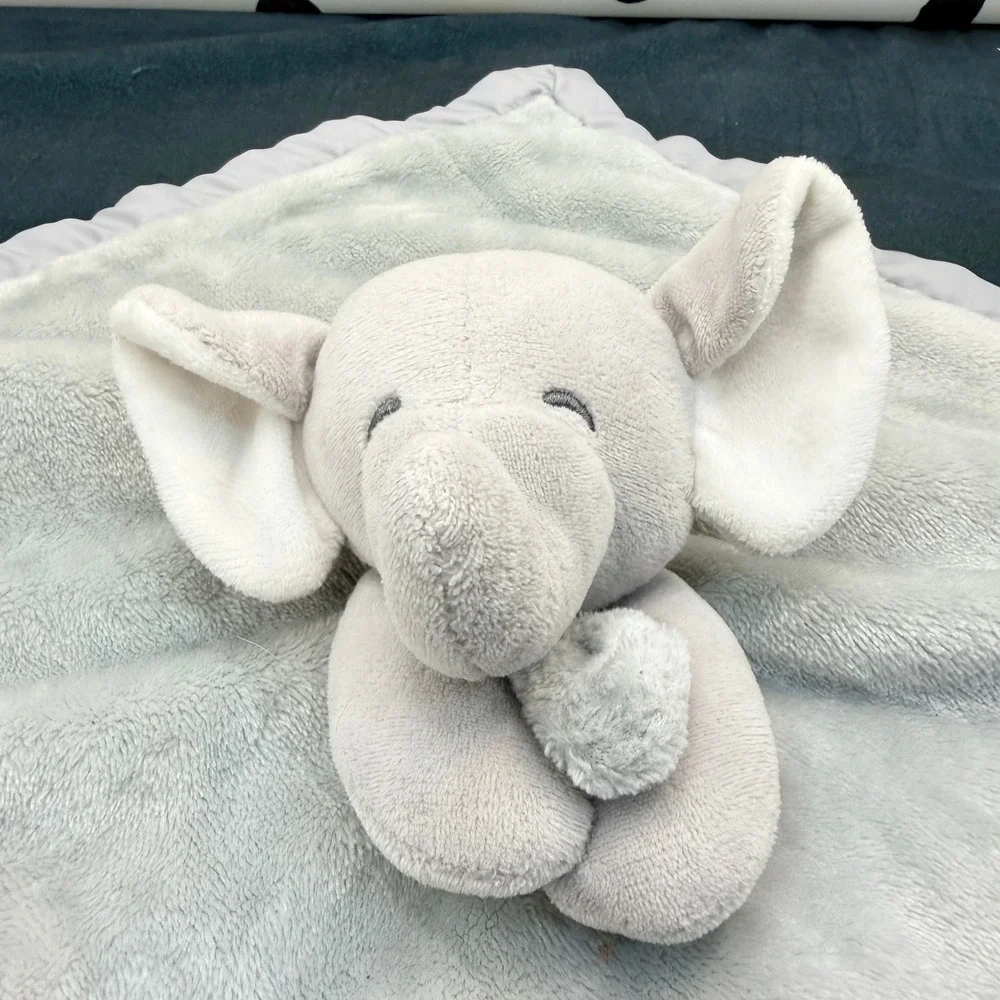 Carters carter elephant